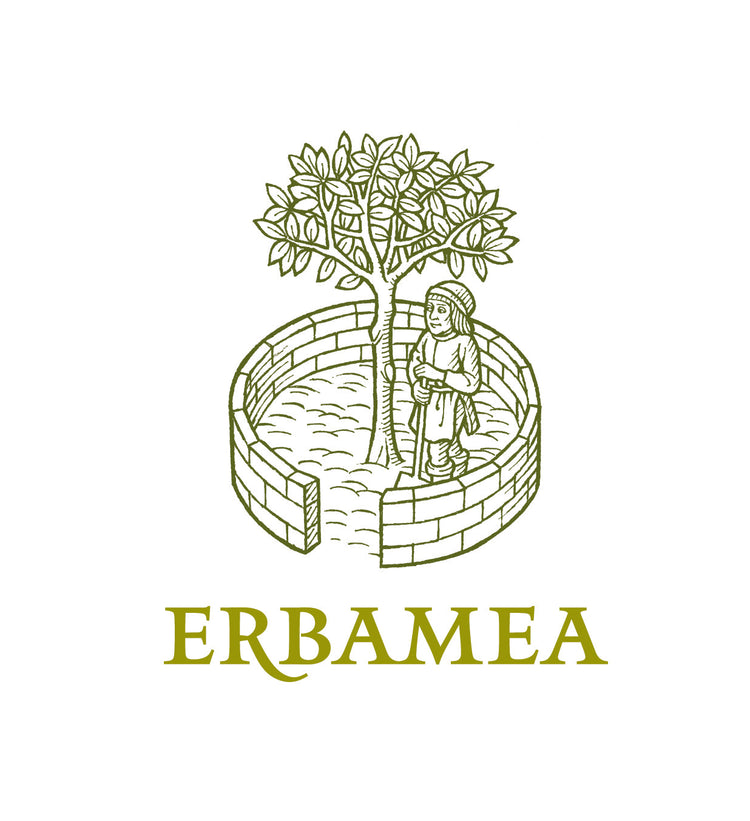 Erbamea